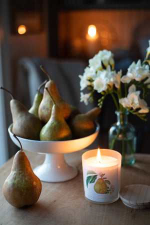 Winter Pear Botanical Candle