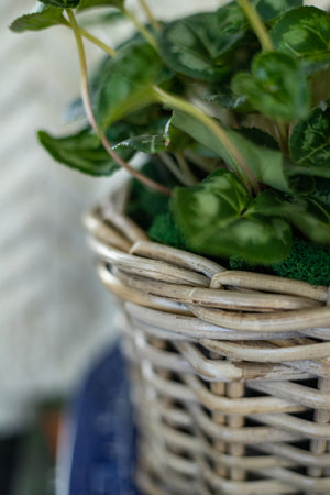Rattan Lined Planter Basket - Round/Medium