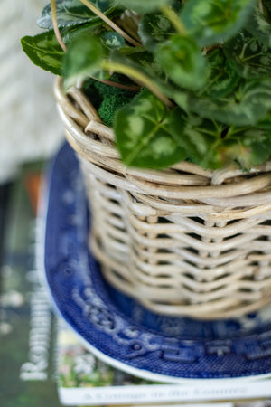 Rattan Lined Planter Basket - Round/Medium