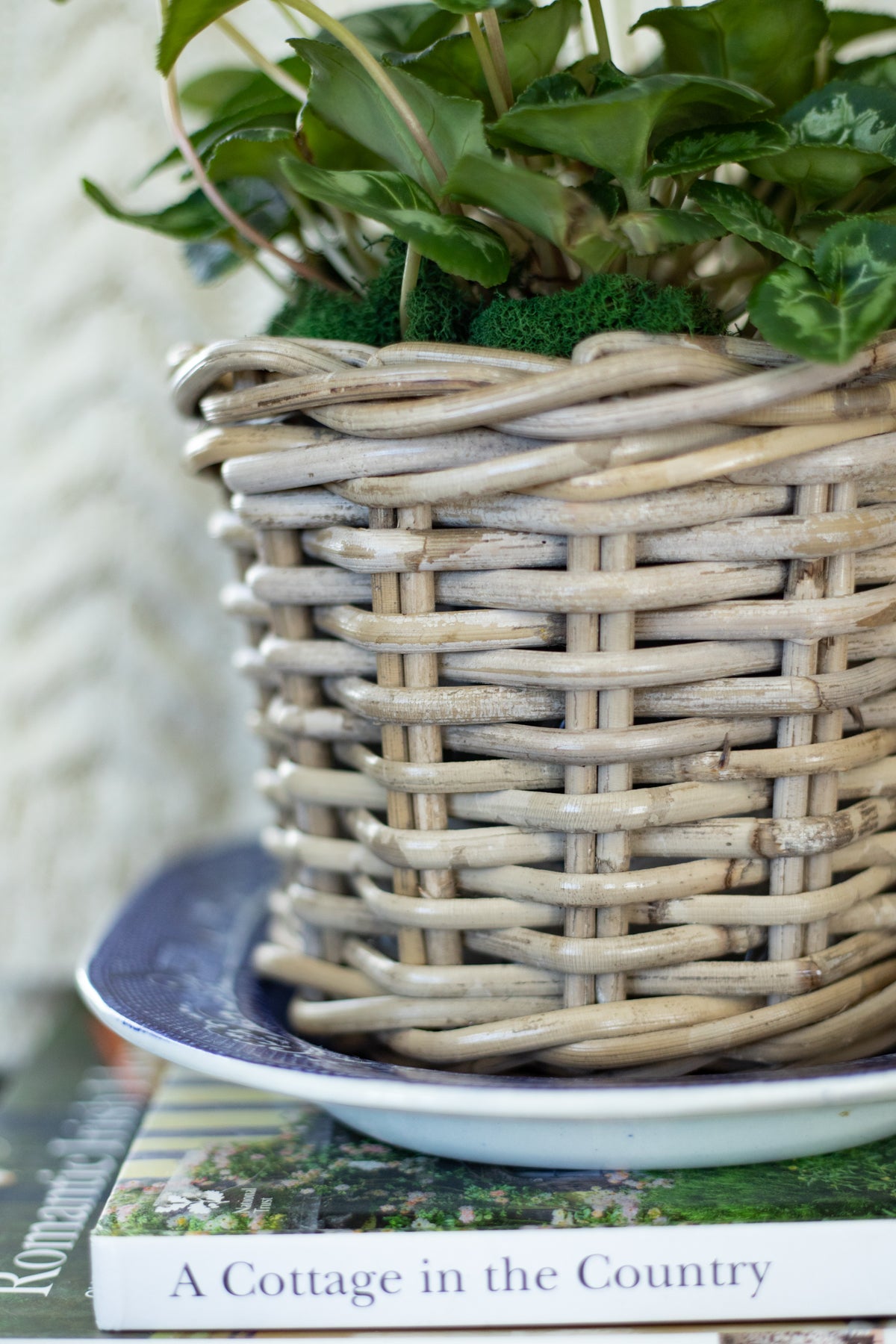 plant pot rattan Rattan Lined Planter Basket - Round/Medium