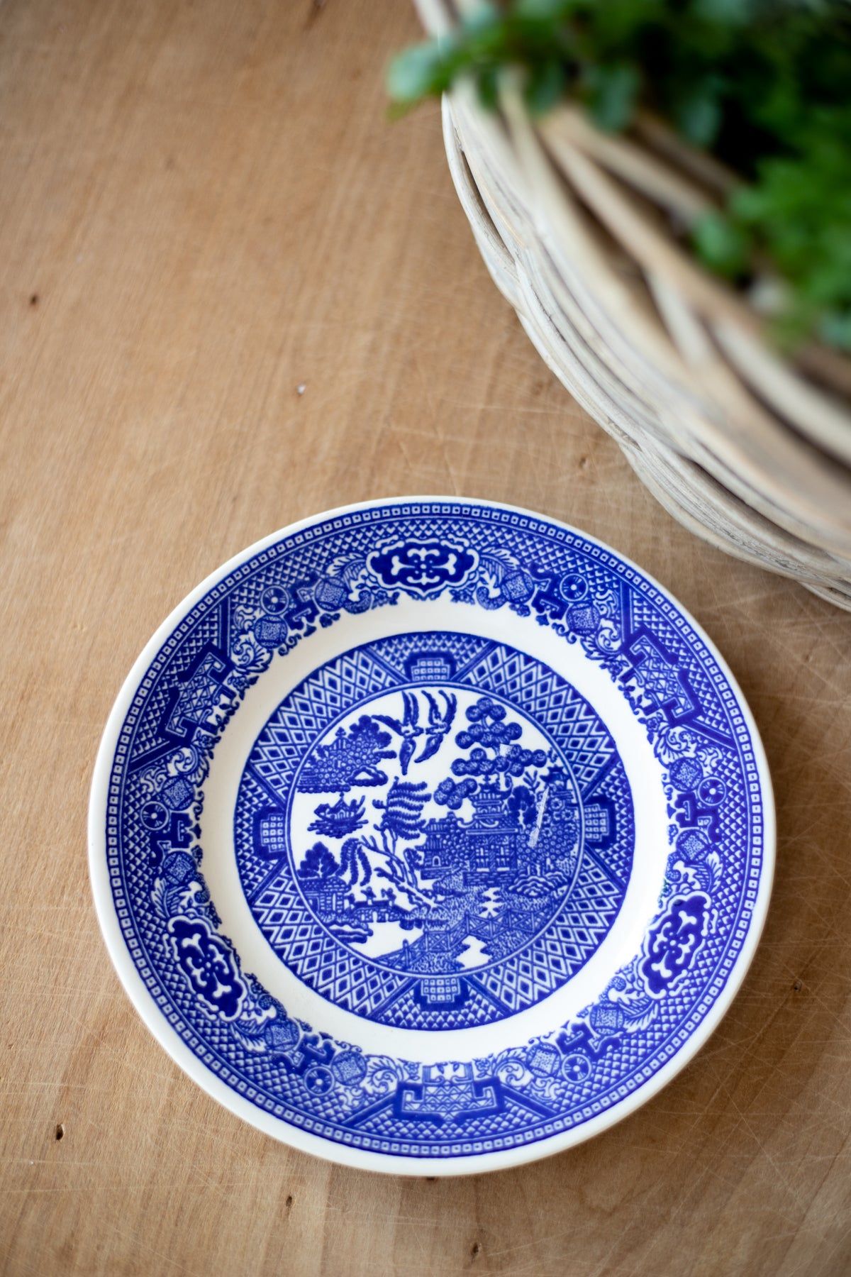blue ceramic plant saucer Antique Plant Saucer Plate - Choose Style