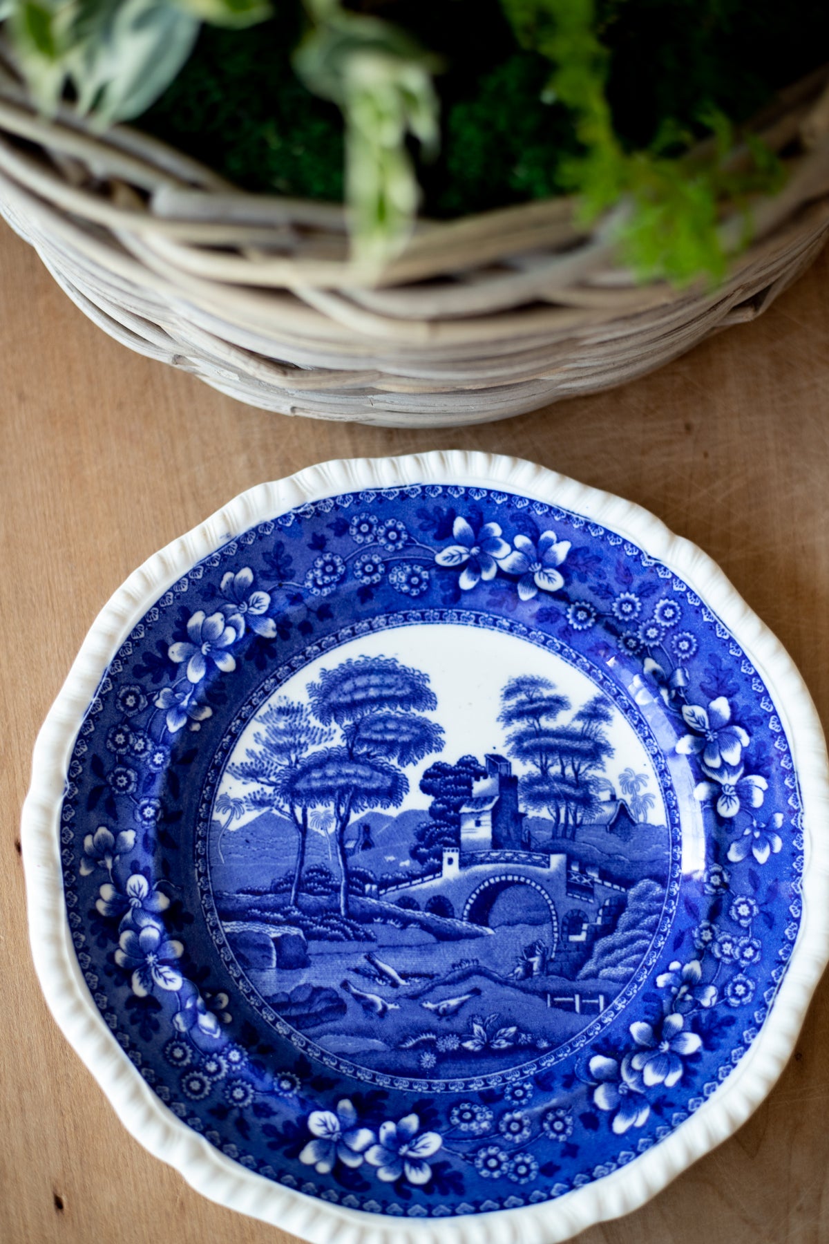 blue plant saucer Antique Plant Saucer Plate - Choose Style