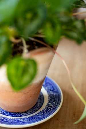 Antique Plant Saucer Plate - Choose Style