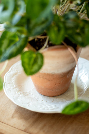 Antique Plant Saucer Plate - Choose Style