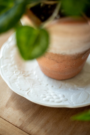 Antique Plant Saucer Plate - Choose Style