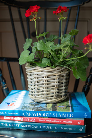 Rattan Lined Planter Basket - Round/Medium