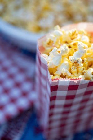 Red Gingham Popcorn/Favor Bags - Package of 10