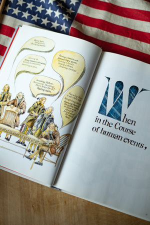 Declaration of Independence book by Sam Fink