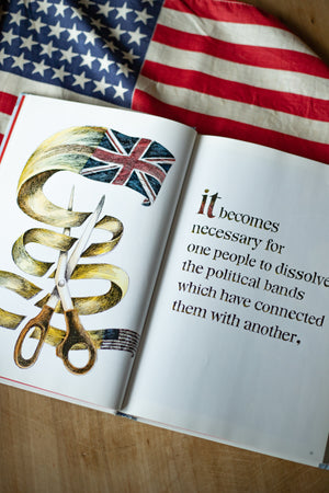 Declaration of Independence book by Sam Fink
