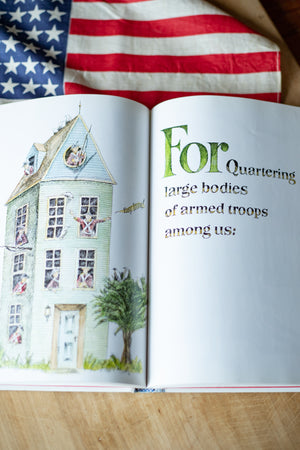 Declaration of Independence book by Sam Fink