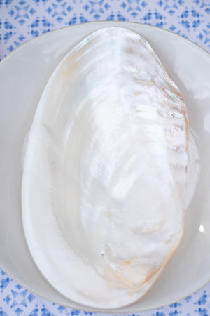 Cabibi Shell Serving Dish