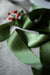 Double-Faced Satin Ribbon - 1 1/2" x 50 yds - Mistletoe Green