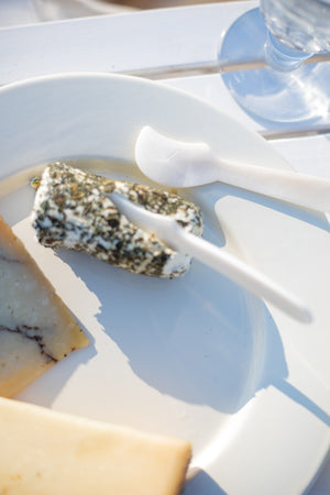 Shell Cheese Spreaders - Set of 2