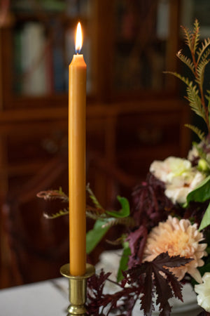 European 12" Autumn Taper Candles - Set of 6