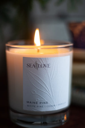 Maine Woods Scented Soy Jar Candle