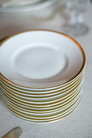 Antique Limoges Bread and Butter Plates/Appetizer Plates - Set of 12