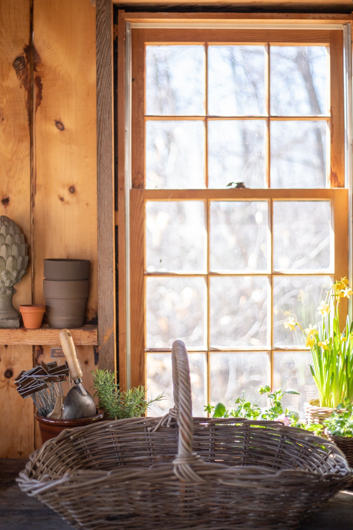 Rattan Gathering Basket