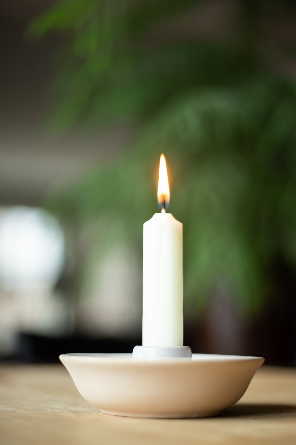 European Short Taper Candles - Ivory - Bundle of 8