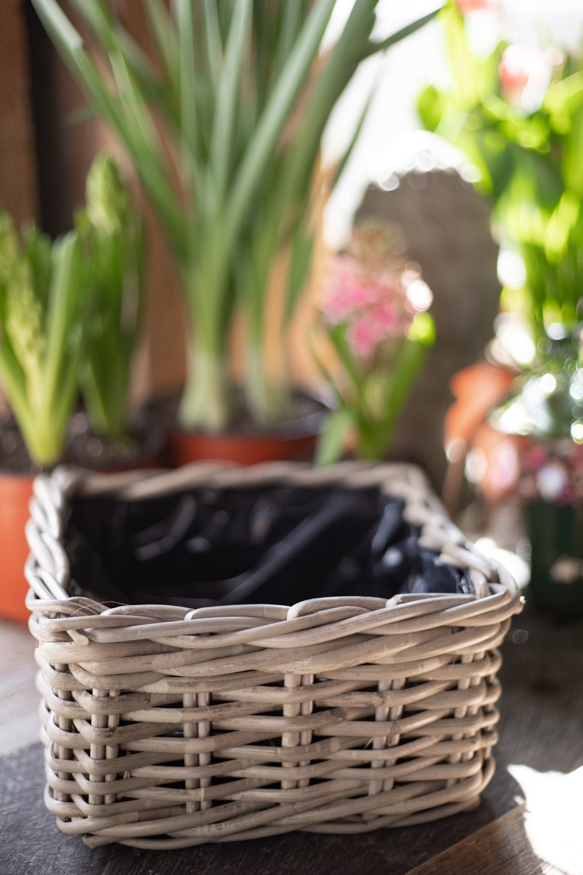 woven planter box Rattan Lined Planter Basket - Square