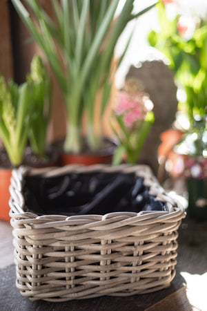 Rattan Lined Planter Basket - Square