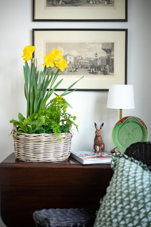 Rattan Lined Planter Basket - Round with Handles - Choose Size