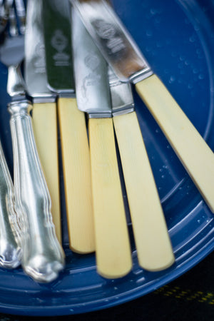 Vintage Picnic Flatware - Choose Your Style