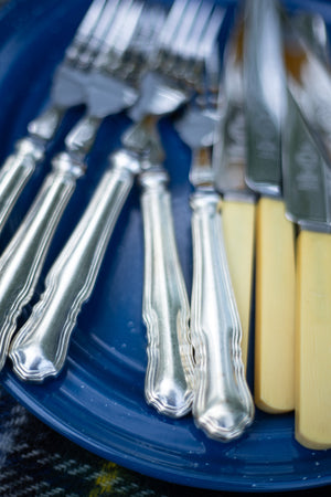 Vintage Picnic Flatware - Choose Your Style