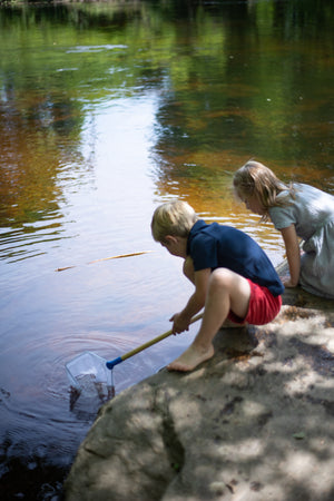 Pond Net