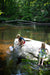 Pond Net
