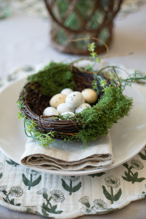 Mossy Twig Bird Nest