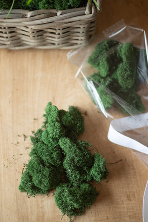 Bag of Reindeer Moss