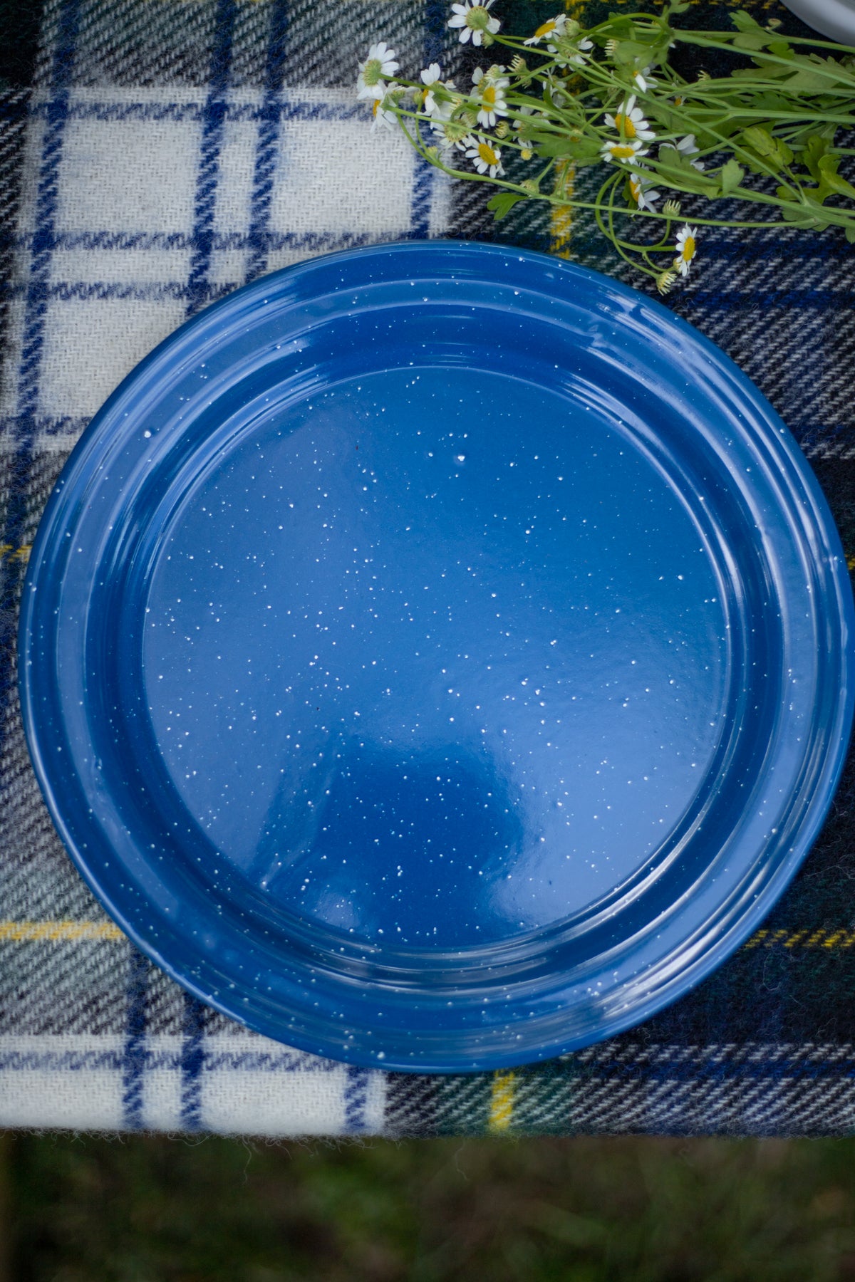 Blue Enamelware - Dinner Plate (10")