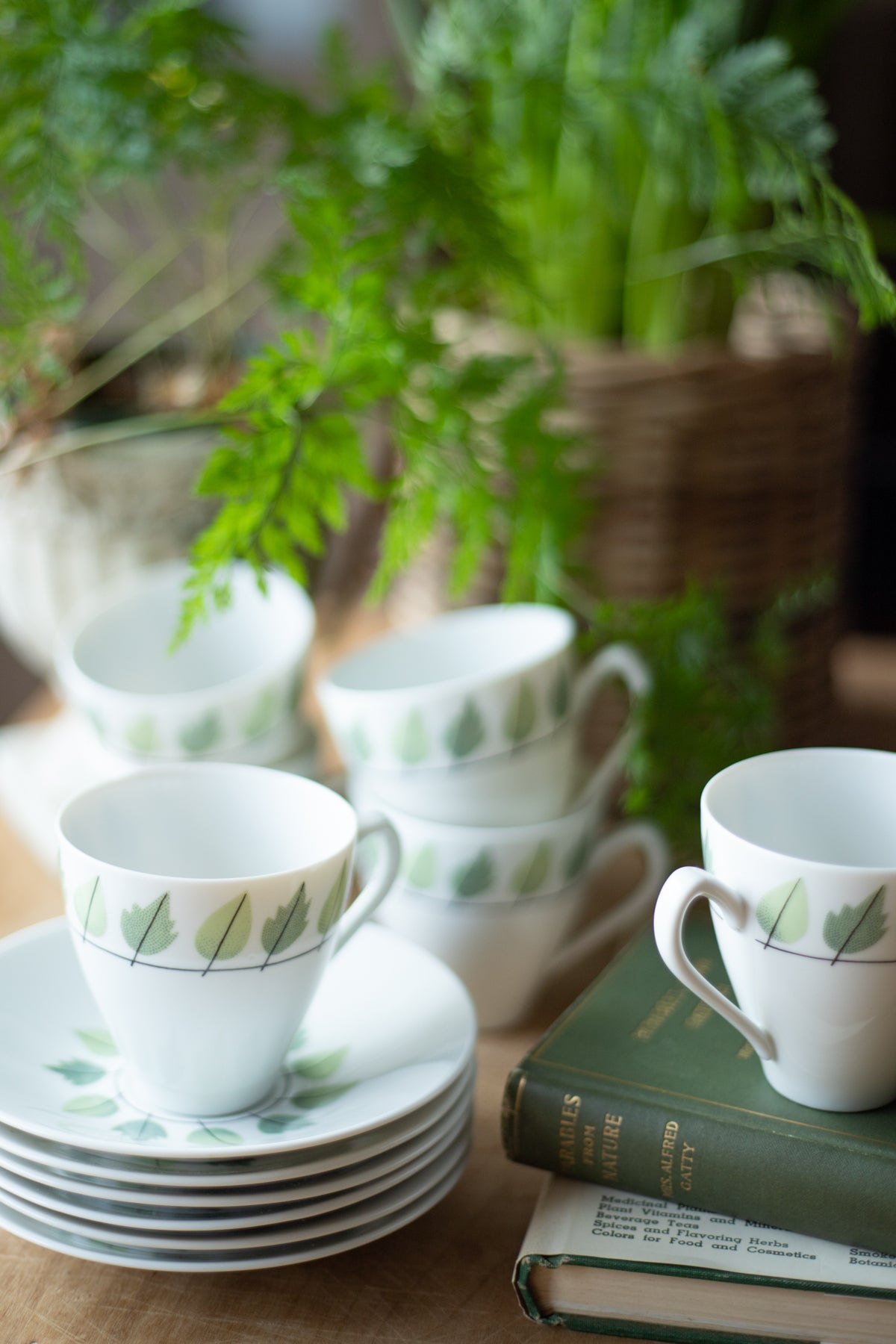 Vintage Leaf Pattern Espresso Set for 6