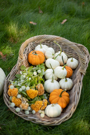 Rattan Gathering Basket