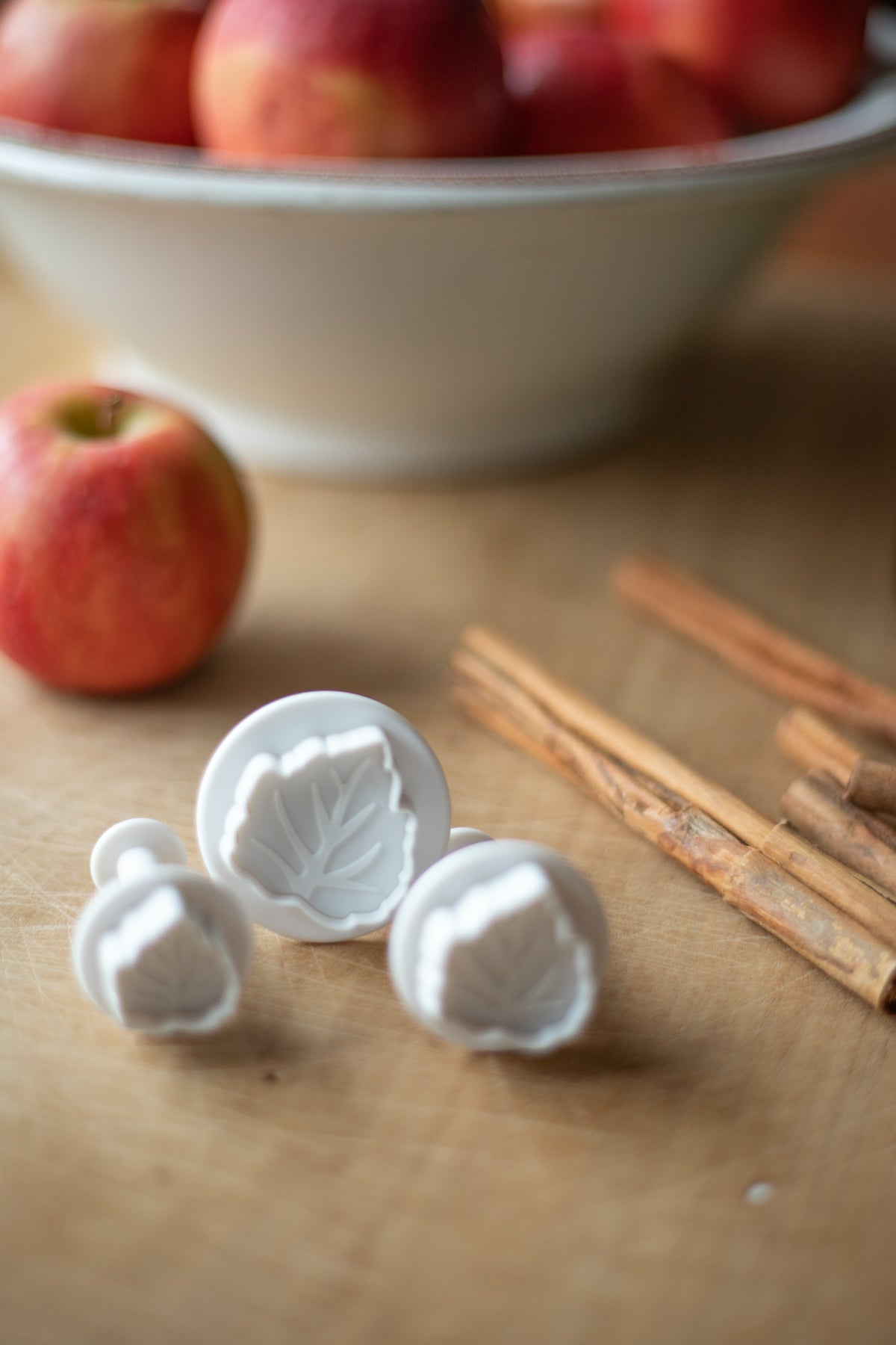 Leaf Pastry Plunger Cutters - Set of 3