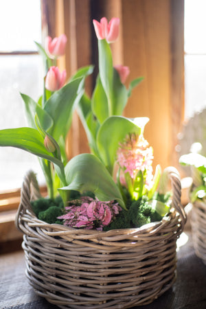 Rattan Lined Planter Basket - Round with Handles - Choose Size