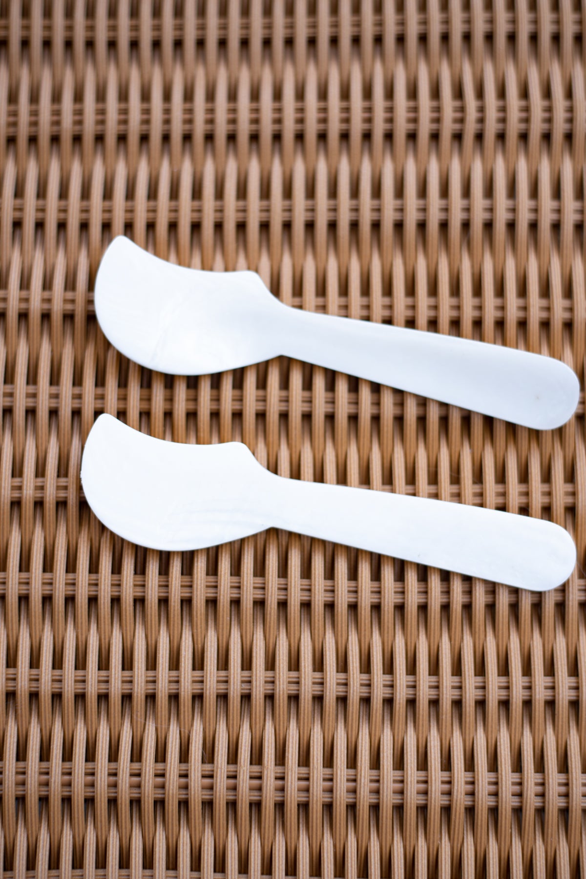 Shell Cheese Spreaders - Set of 2