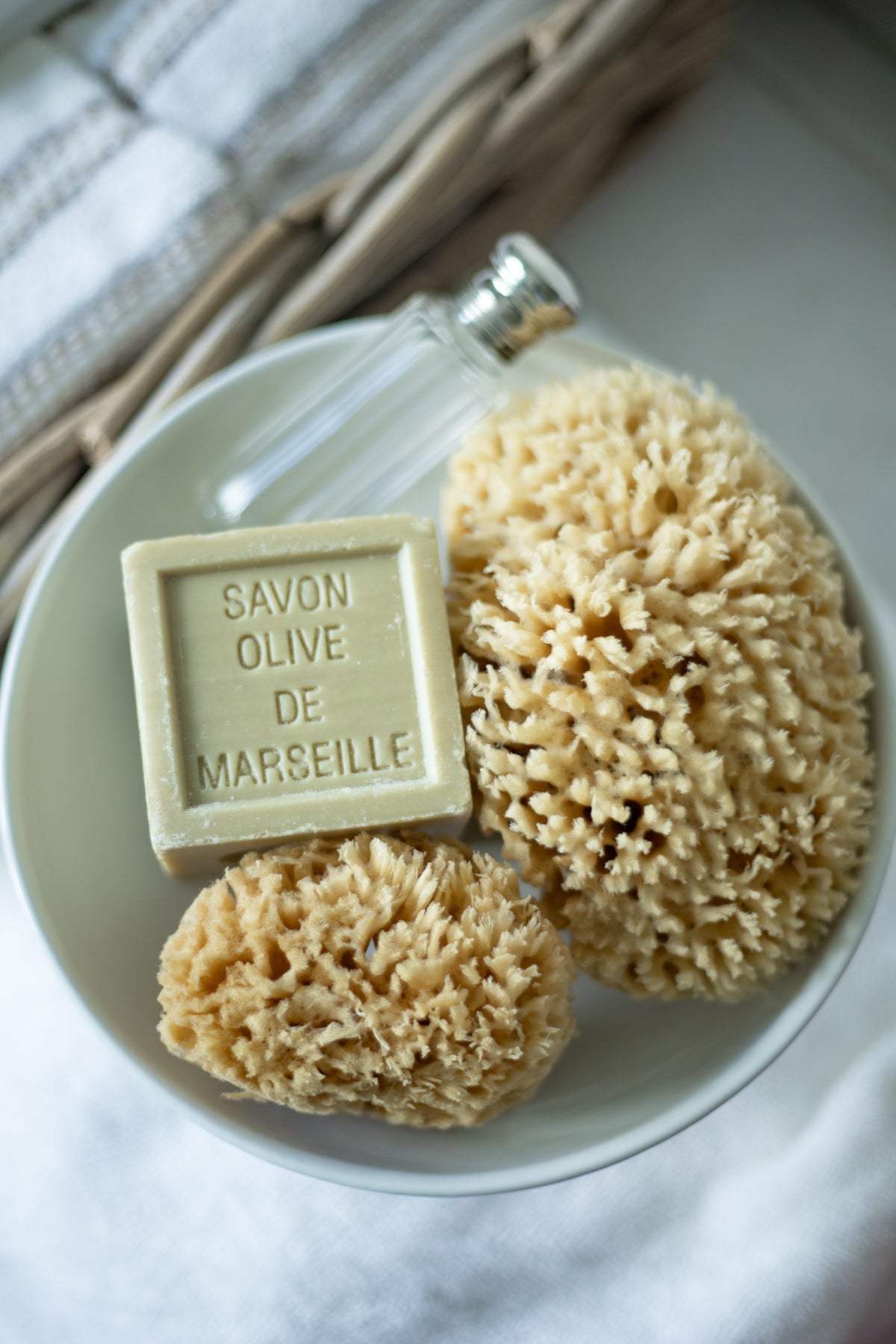 Natural Sea Sponge Set