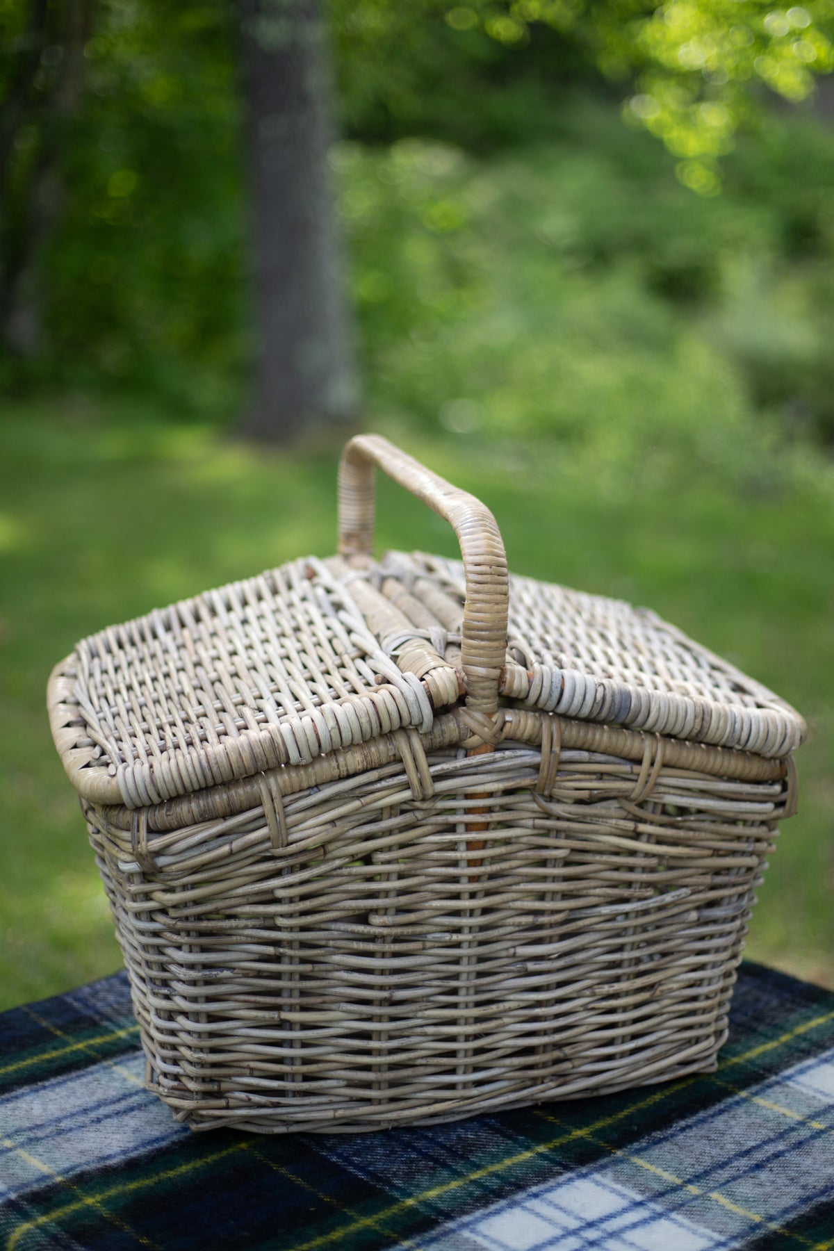 Rattan Picnic Basket