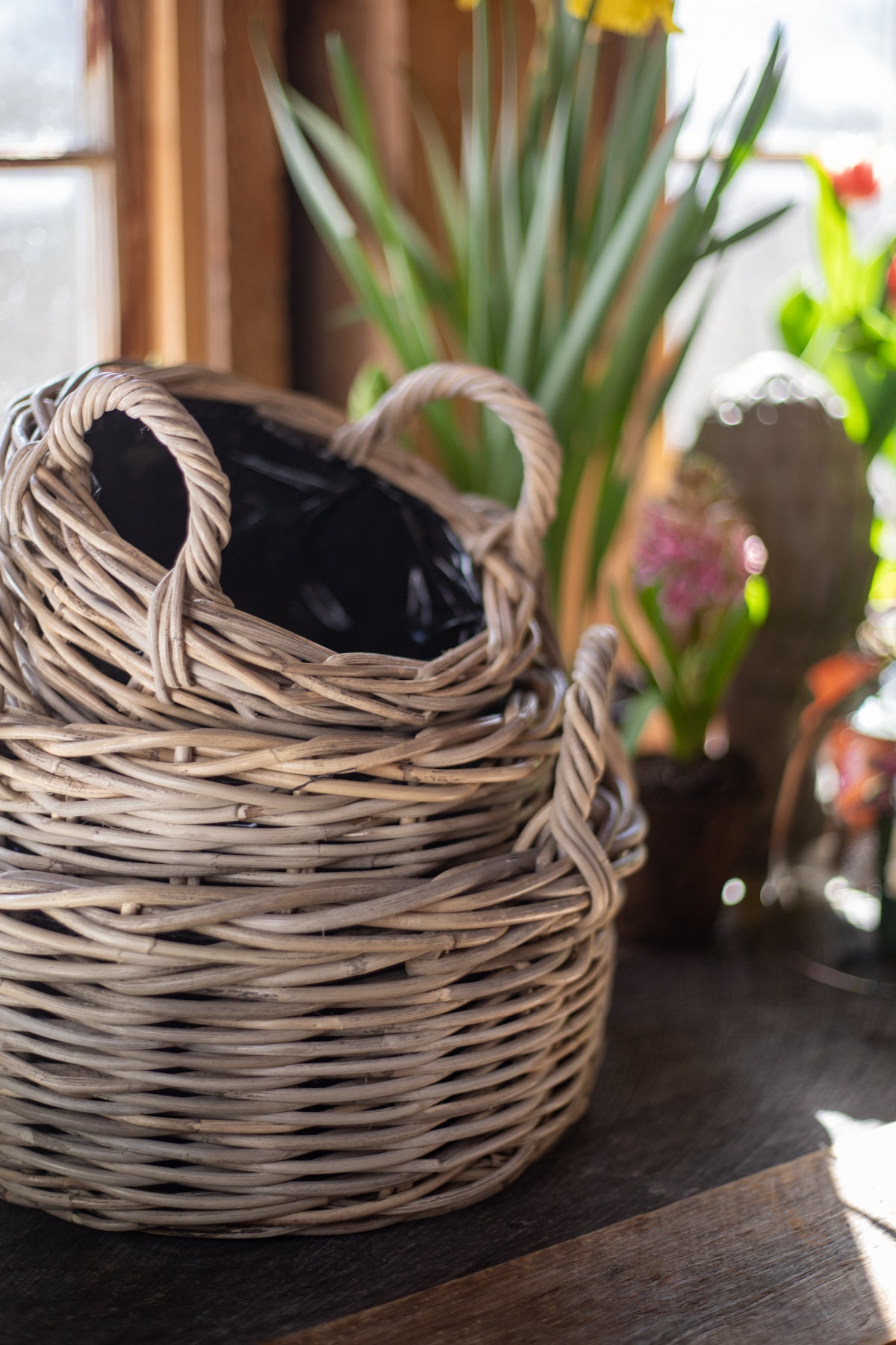 Rattan Lined Planter Basket - Round with Handles - Choose Size