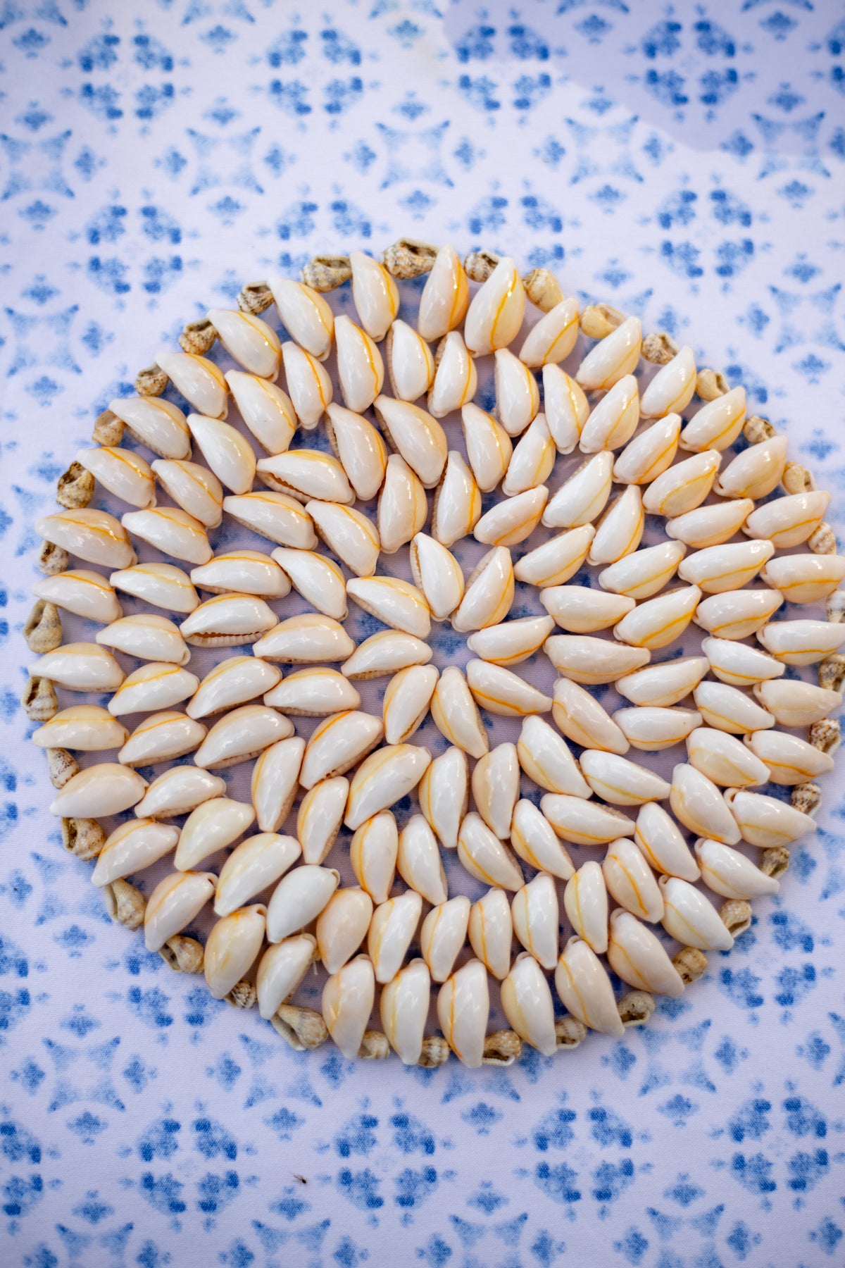 Shell Trivet