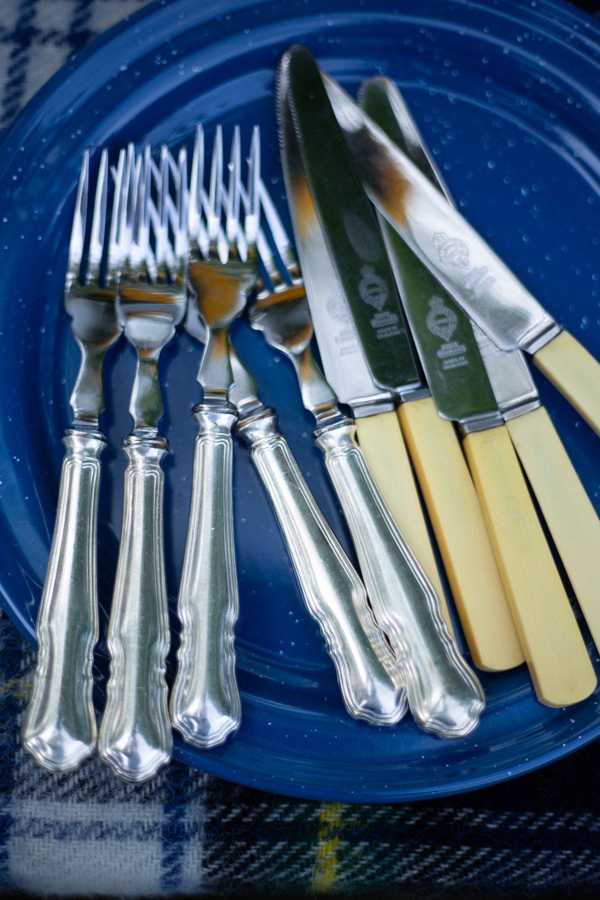 Vintage Picnic Flatware - Choose Your Style