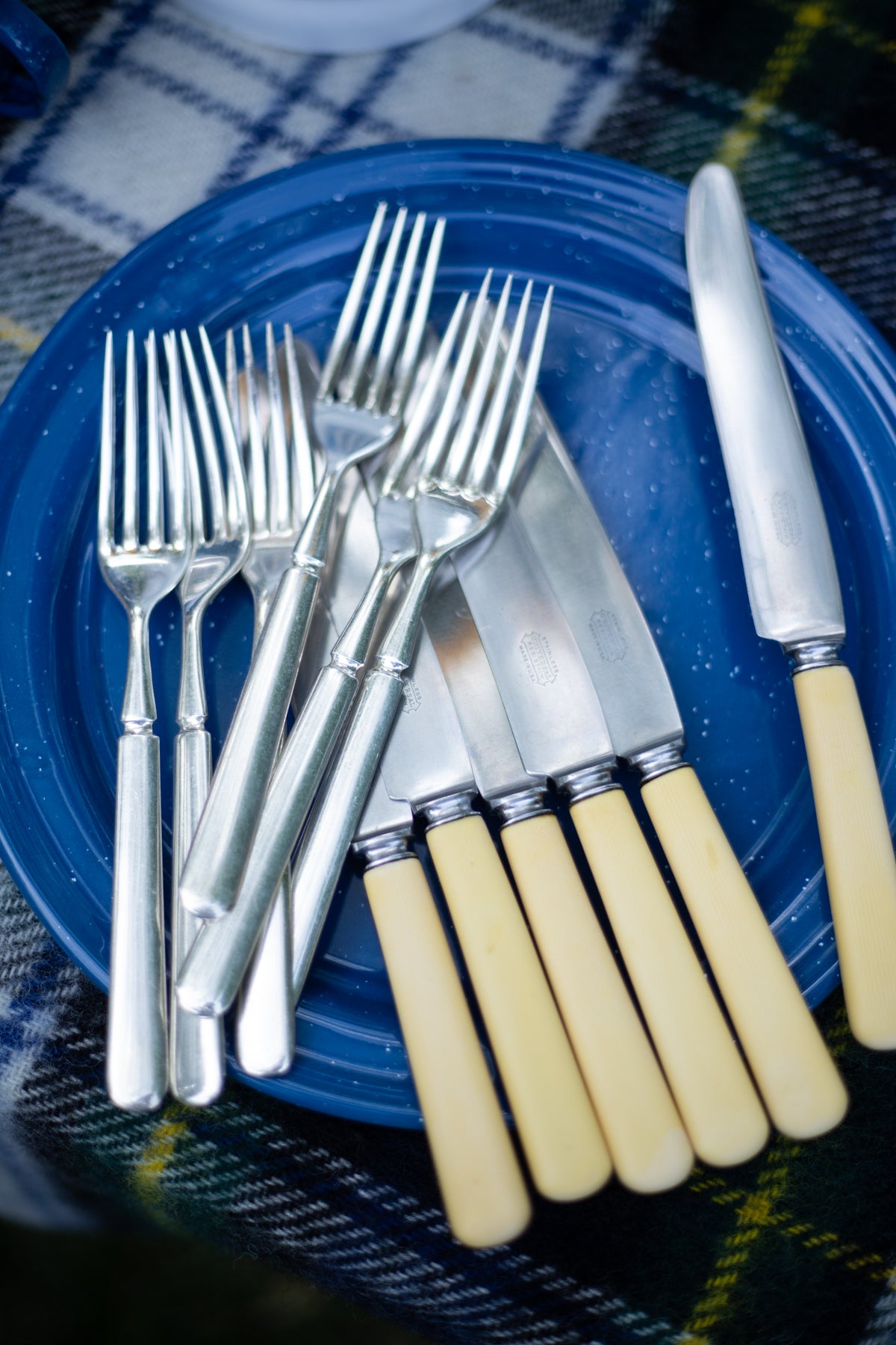 Vintage Picnic Flatware - Choose Your Style
