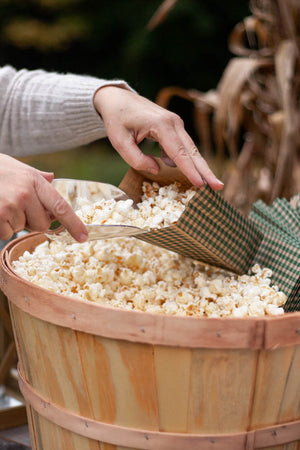 Gingham Popcorn Bags