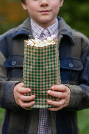 Gingham Popcorn Bags