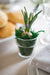 Small Glass Flower Pots - Set of 6