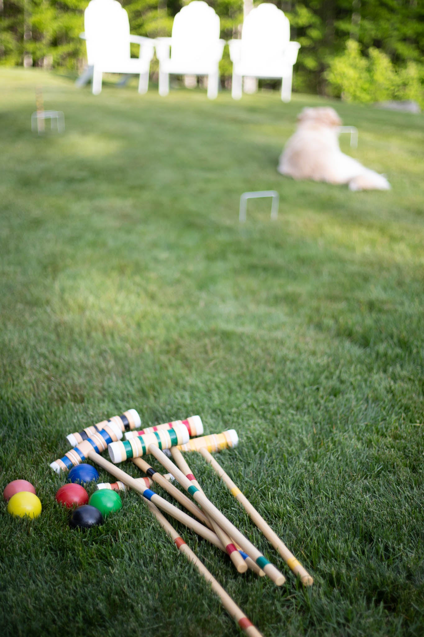 Croquet Game Set