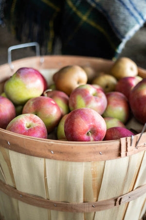 Harvest Bushel Basket