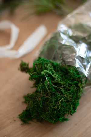 Bag of Moss