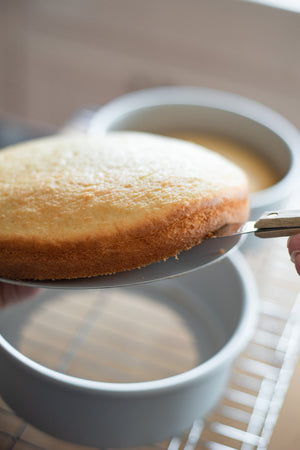 8" Cake Pan with Removable Bottom - Set of 2
